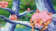 PinkPrimeape,Caterpie,Weedle & Venonat