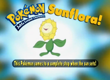 Sunflora - Who's That Pokémon