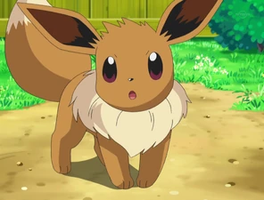 Virgil's Eevee.