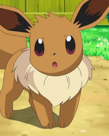 Virgil S Eevee Pokemon Wiki Fandom - eevee wiki roblox pokemon adventures fandom powered by wikia