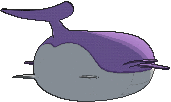 Wailord's back shiny sprite