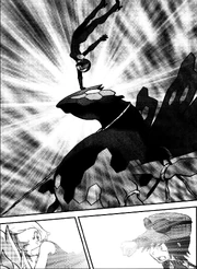 Essentia tries to catch Zygarde.