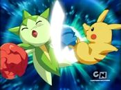 Pikachu defeats Roselia with an Iron Tail