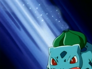 Ash Bulbasaur Sleep Powder