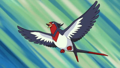 Ash's Swellow