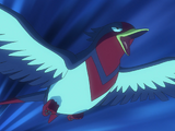 Ash's Swellow