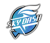 Sky Dash icon