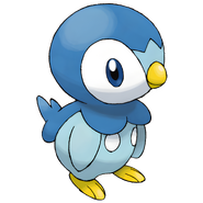 Piplup
