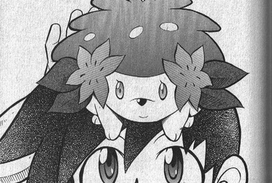 Shaymin (MS011), Pokémon Wiki