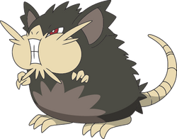 Alolan Raticate - Pokémon Wiki - Neoseeker