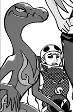 Plumeria had Salazzle attack Gladion and Type: Null until seeing the former was the enforcer of Team Skull. She was later used to confront Faba.