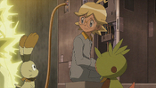 Chespin and Bunnelby offering to get the fuse