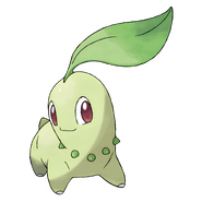 Chikorita