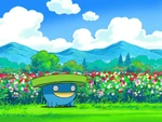 Forsythia already had Lotad when she met Budew. Lotad and Roserade are very good friends. Lotad helps Forsythia water her garden using Water Gun.