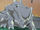 Giovanni's Rhyhorn (Origins)