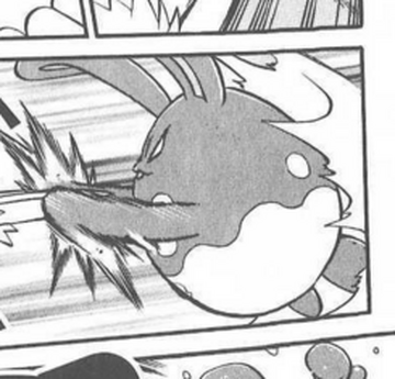 Matt S Azumarill Pokemon Wiki Fandom Matt S Azumarill Pokemon Wiki Fandom