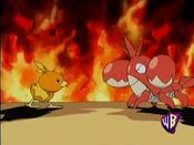 Torchic and Corphish decide to fight