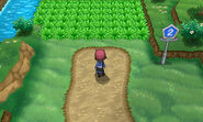 Calem entering Route 2