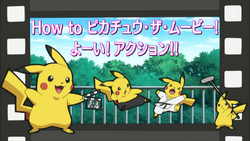 Lights! Camera! Pika! guide