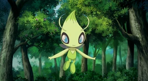 Celebi in the anime.
