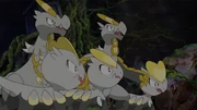 Jangmo-o in the anime.