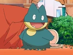 Munchlax was caught in the episode "Berry, Berry Interesting". It uses powerful moves like Solar Beam, Focus Punch and Metronome. It is the only Pokémon which likes May's new recipe Pokéblocks. Even though Munchlax is gluttonous, it is an amazing battler.