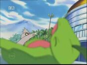 Slakoth defeated Ash's Grovyle