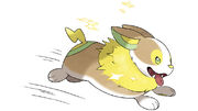 Yamper running.jpg