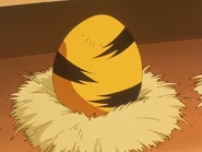 Elekid Egg