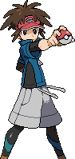 Action Replay | Pokémon Wiki | Fandom