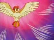 Whirlwind being used by Ash's Pidgeotto.