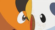 Tepig and Oshawott argue with each other