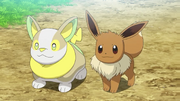 Chloe Yamper and Eevee