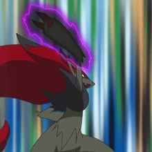 Mohn S Zoroark Pokemon Wiki Fandom