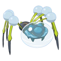 #752 Araquanid water/bug