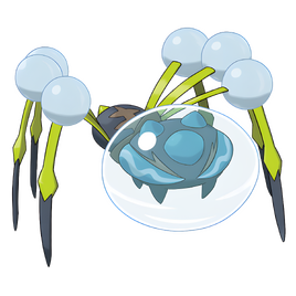 0752Araquanid