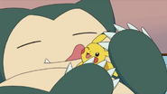 Snorlax showing Pikachu affection