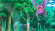 Brock Crobat Supersonic