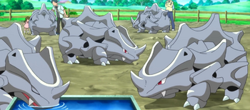 Rhyhorn XY007