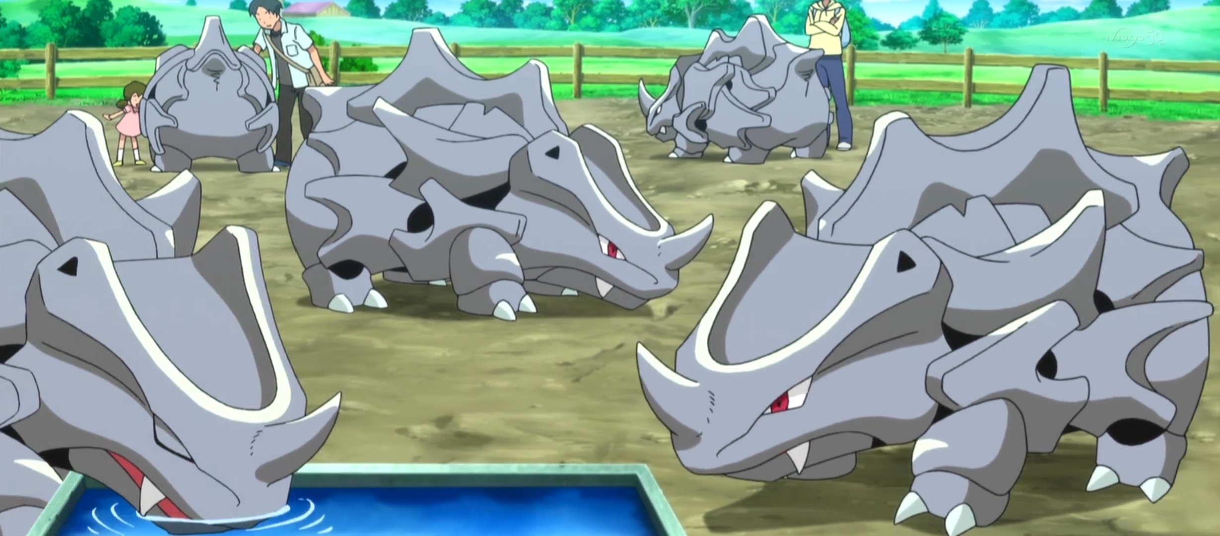 Rhyhorn Xy007 Pokemon Wiki Fandom