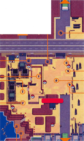 Unova Route 4