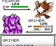 Pound depicted in Generation I