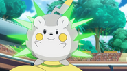 Spiky Shield used by Sophocles' Togedemaru.