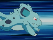 Whitney Nidorina Tackle