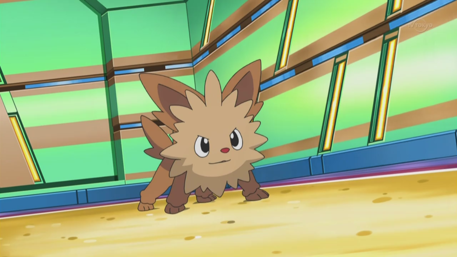 Lillipup Pokemon Lillipup GIF - Lillipup Pokemon lillipup Take down -  Discover & Share GIFs