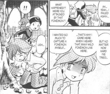 R S005 Nixing Nuzleaf Pokemon Wiki Fandom
