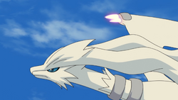 Vaur's Shiny Reshiram, Our Epic Pokemon Battles Wikia