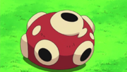 Shuckle shell