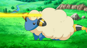 Mareep is attracted by the electric beam