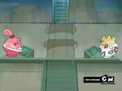 Happiny and Togepi are about to fight